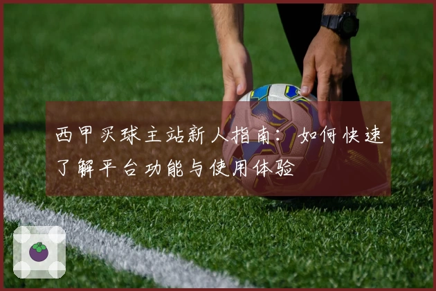 西甲买球主站新人指南:如何快速了解平台功能与使用体验