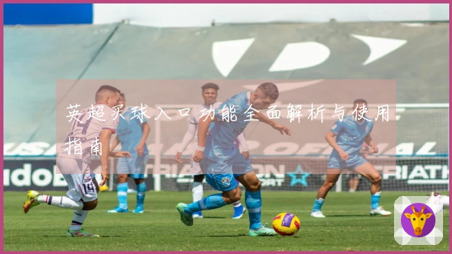英超买球入口功能全面解析与使用指南