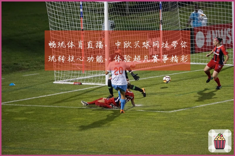 畅玩体育直播，中欧买球网址带你玩转核心功能，体验超凡赛事精彩