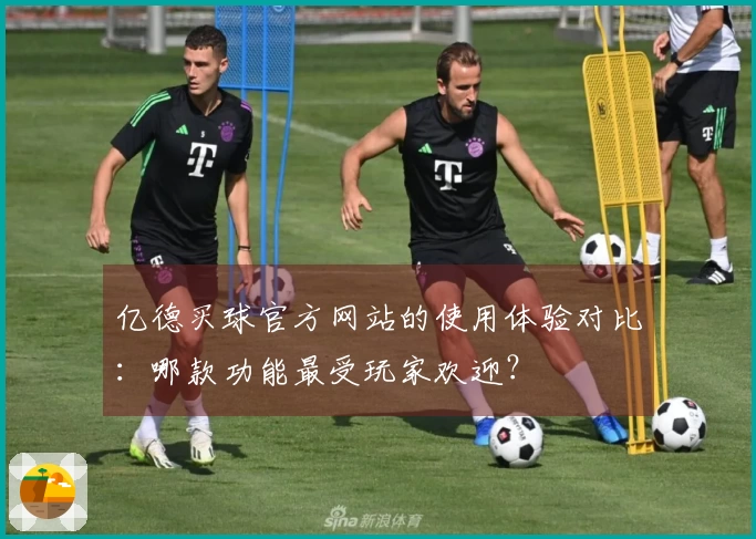 亿德买球官方网站的使用体验对比：哪款功能最受玩家欢迎？