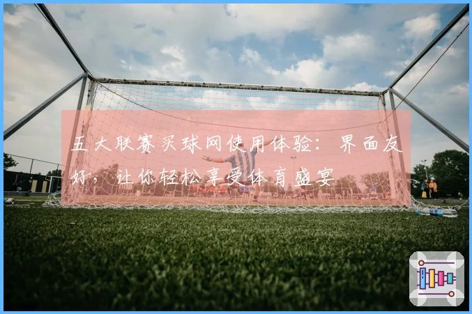 五大联赛买球网使用体验：界面友好，让你轻松享受体育盛宴