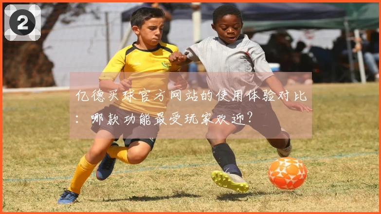 亿德买球官方网站的使用体验对比：哪款功能最受玩家欢迎？